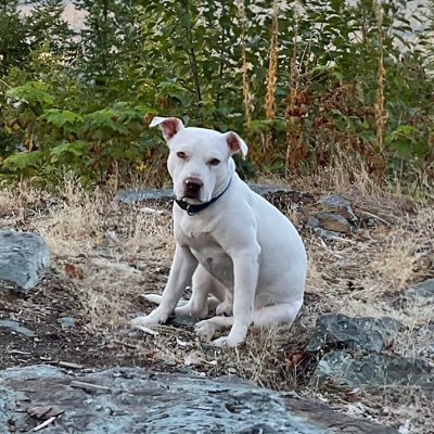 JMali777's profile picture. Overlanding, Hiking, Biking, Kayaking, Fishing, University of Maryland Football, Basketball and Lax. Camping/Touring the US in ‘21 & ‘22