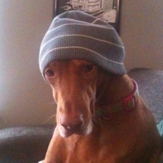 sjmallinson's profile picture. 