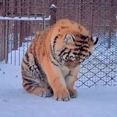 ss_nnn_00's profile picture. 犬飼貴丈를 귀여워합니다 / 
2025년 목표는 빌드 짤찌기 완료여야만