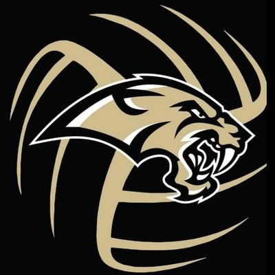 Legacy Sabers Volleyball Profile