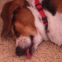 Patty Casey - @momwifemam - Twitter