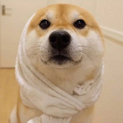 kqxn9's profile picture. 