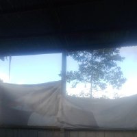 Hutan Limbah (@hutanlimbah) 's Twitter Profile