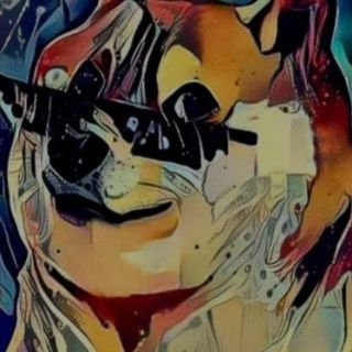 ilinknft's profile picture. NFT,Tech,Yoga,3D,VR,AR,Bio, Fasting