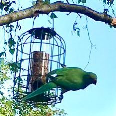 BackSeatKeet's profile picture. I’m a lurker not a tweeter