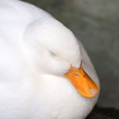 みこさんのプロフィール画像
