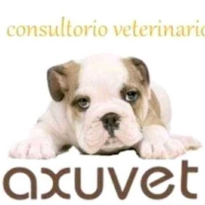 Veterinaria, peluquería canina/felina,tienda especializada y guardería