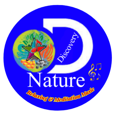 Nature8k's profile picture. Videography and photography With Relaxing Music