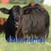 Matheson Farms (@mathesonfarms18) Twitter profile photo Matheson Farms (@mathesonfarms18) Twitter profile photo