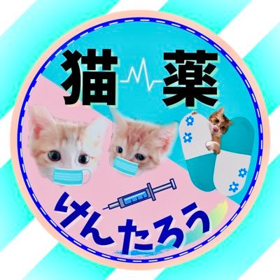 ฅ ℍ𝕖𝕝𝕝𝕠 𝕏 ฅ京大院を退学して医学生をする猫好き薬剤師 ⌬💊 ✿ 