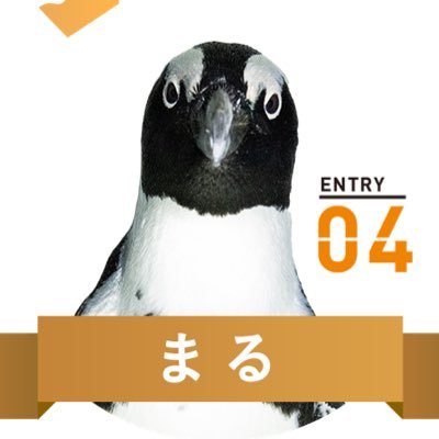 marukun1462's profile picture. 京都水族館