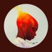 joel salomon (@joelsalomon19) Twitter profile photo joel salomon (@joelsalomon19) Twitter profile photo