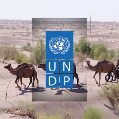 UNDPTM Profile Picture