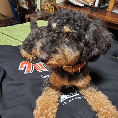 sonicflow_nickn's profile picture. 金曜夜に「くろだ煮」観ながら　　　　　　　　　　　　　
　　　　　　　三冷で飲む黒ホッピー　　　　　　　　　　　　　　　　　　　　　　　　　　　　　　　スゴく美味しいです🍺　　　　　　　　　　　　　　　　　　　　　　　　　　　　　　　　焼酎は冷凍庫でミゾレにしてね

　　　　　　Be Happy with Hoppy