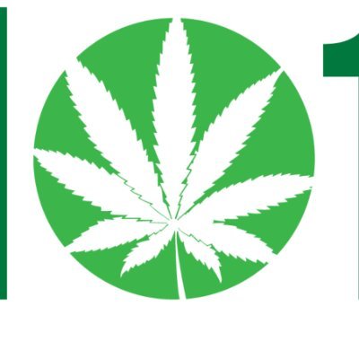 MichealBowden's profile picture. 101GrowLights is a website that reviews the best led grow lights to grow weed indoor. It provides all information you need to know before buying, including what