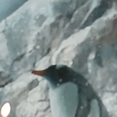 arakumanosu's profile picture. コロナ、マスク社会が終わりますように✨
一緒にタグ付けしよ❤