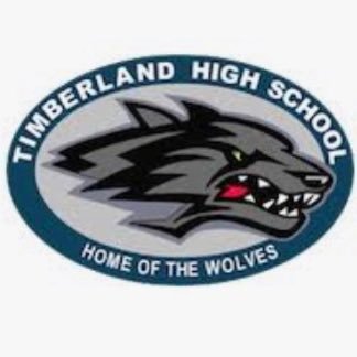 Associated Student Council is a great way for students to get involved at THS!