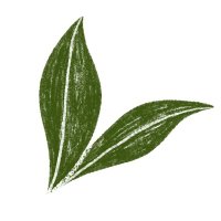 HappySoaps (@thehappysoaps) 's Twitter Profile Photo