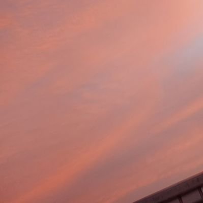 melonpaaaannnn's profile picture. 重めな偏頭痛｜筋痛性脳脊髄炎/慢性疲労症候群mecfs ｜POTS｜心身ともにぐだぐだなクィア