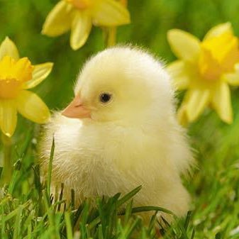 tech_into's profile picture. 作って作って売りまくる。