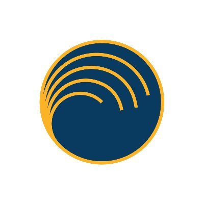 Secure World Foundation Profile