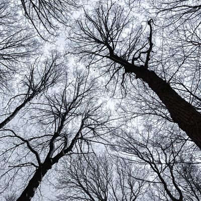 A platform for interdisciplinary discussions
Tweets @beata_gubacsi
Check out Medical Humanities 2.0 @the_polyphony