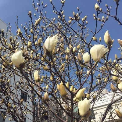 청소년들에게도 넘쳐났던 많은 알바자리들-가끔 돈몇푼 쥐어주고 문재인 일당이 빼앗아 갔습니다