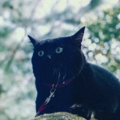 みさんのプロフィール画像