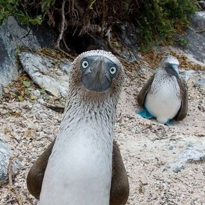 sgr1ff's profile picture. celebrate humans, stand up for the underdog, protect animals, marry who you want, live w/integrity #proudparent #itbeginswithme #FirstPeoplesRights #endracism