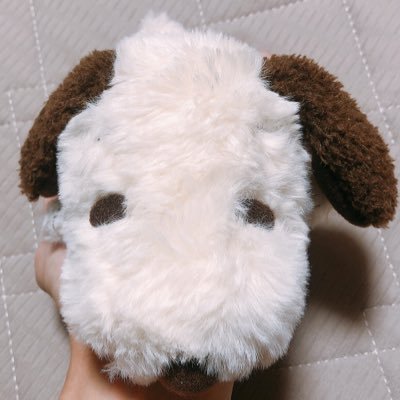かやーぴーさんのプロフィール画像