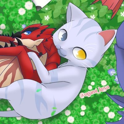 紅夜さんのプロフィール画像
