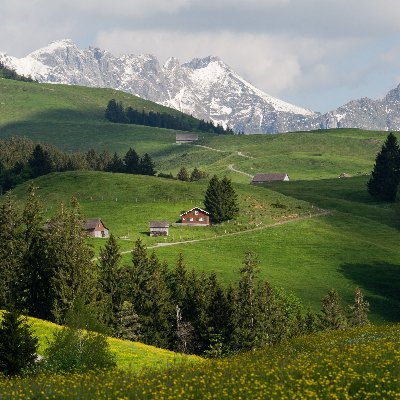 ben9474959's profile picture. hi there