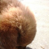 Rose LOVE (@minhtinh23) 's Twitter Profile Photo Rose LOVE (@minhtinh23) 's Twitter Profile Photo