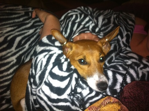 44scooby's profile picture. 