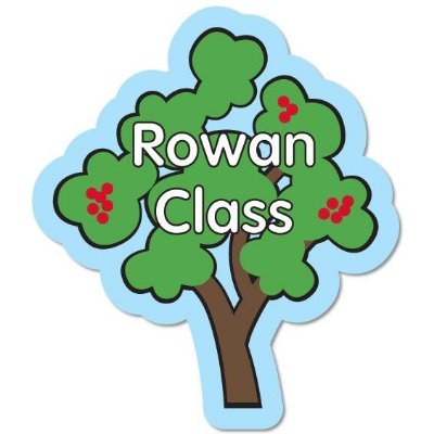 Hello we are Rowan class, Year 3 in Necton Church of England Primary School.  This feed is for parents/carers to update you on what is happening in class.