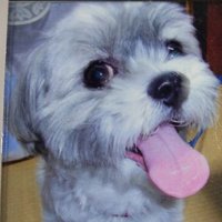 あい (@ai_1203_) 's Twitter Profile