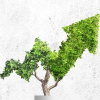 YMP Sustainable Business PGT Programme (@ympsublim) 's Twitter Profile