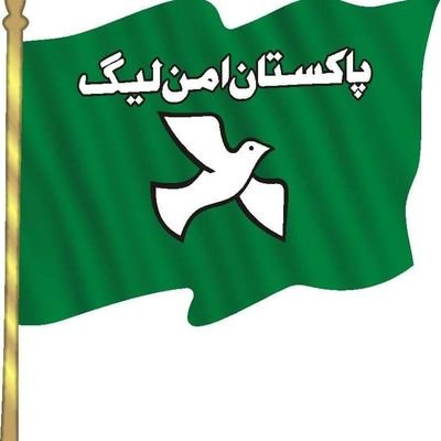 Sultana Niazi Centrail General Secretary Political Party Pakistan Aman League & Director Niazi Chemical industry (PVT) LTD  Faisalabad