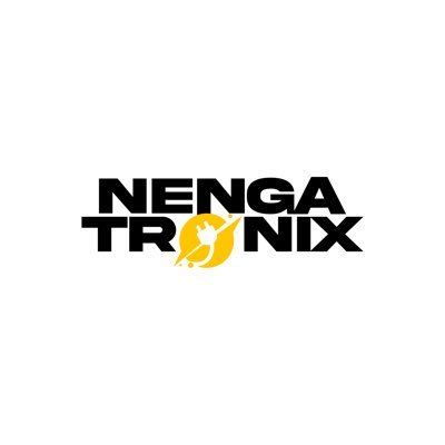 CEO - NENGA TRONIX,DIGITAL PILOT, MAFIOSO INC,LFLG