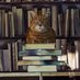 Waterstones Bury St Edmunds Buttermarket (@wstonesburysted) Twitter profile photo Waterstones Bury St Edmunds Buttermarket (@wstonesburysted) Twitter profile photo
