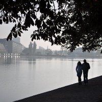 Nature-In (@_nature_in) 's Twitter Profile Photo Nature-In (@_nature_in) 's Twitter Profile Photo