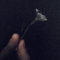 Amir Abbey (@apyramid_) 's Twitter Profile