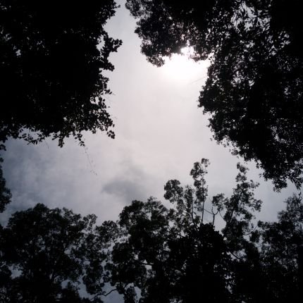 Justmeitzy's profile picture. dm your girl’s pic ill reply mine