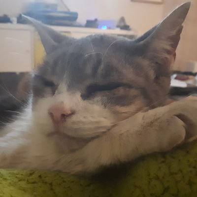 iiiiittttsemma's profile picture. 