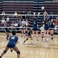 Arlington Volleyball (@ahstigervball) 's Twitter Profile Photo Arlington Volleyball (@ahstigervball) 's Twitter Profile Photo