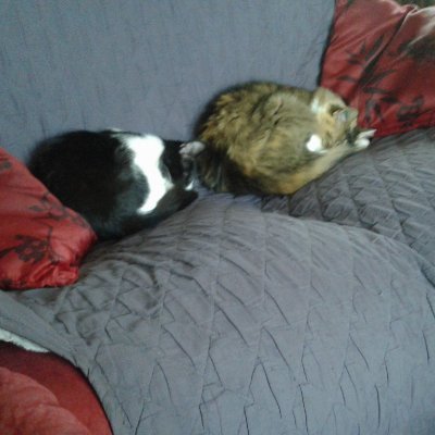 nano6602's profile picture. 