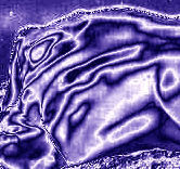 art4sale_'s profile picture. Providing posibility`s for all artist to expose their work to a broad audience for free. Help us to become the largest online marketplace Join us at art4sale.eu