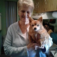 phyllis powell (@phyllispowell1) 's Twitter Profile