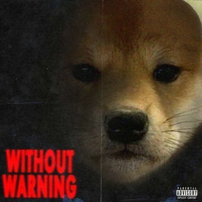 camtar253's profile picture. 