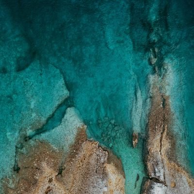 Moises7144Vela's profile picture. 